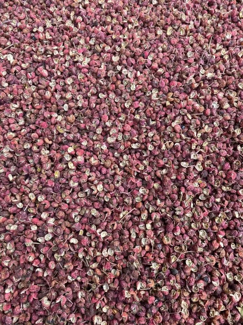 【精品】新货山东大红袍花椒麻味香味足产地直发可视频看货
