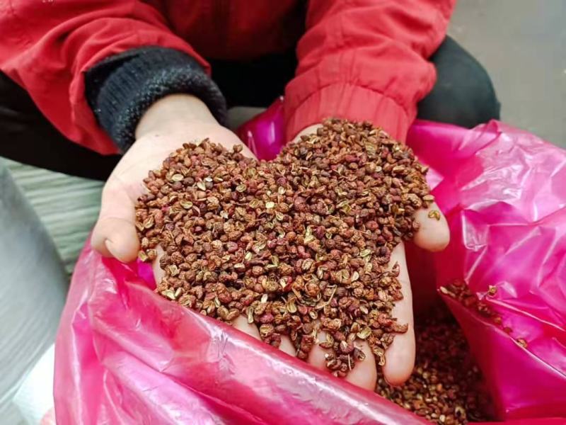 【精品】新货山东大红袍花椒麻味香味足产地直发可视频看货