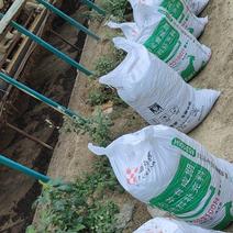 发酵纯羊粪厂家直销保质保量果树专用肥，改善土壤