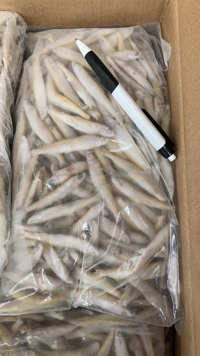 兴泓特色食材公鱼小龙鱼精品单冻无冰各种规格齐全对接批发