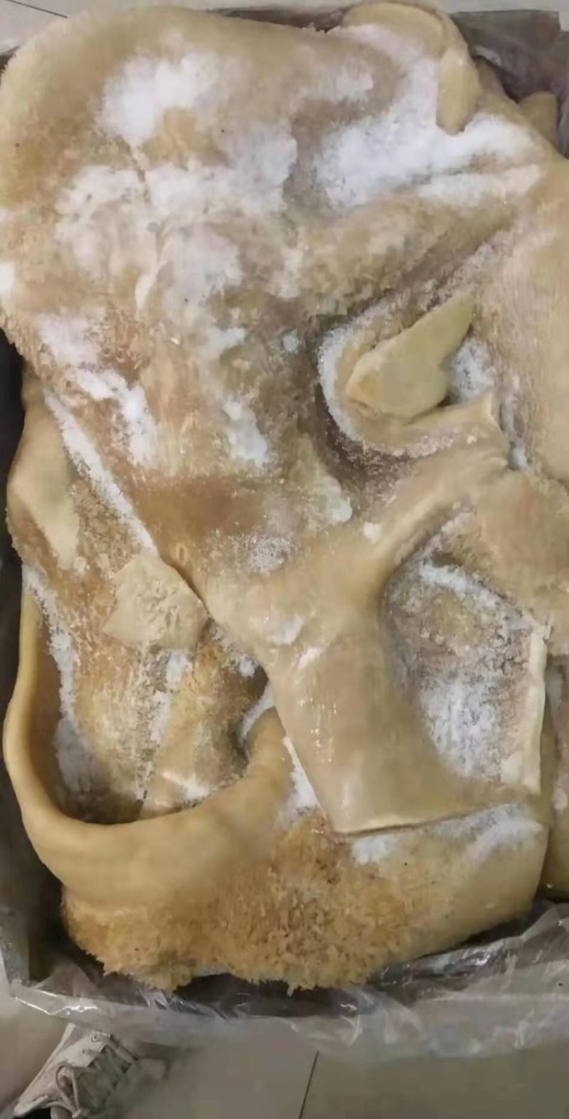 全熟牛肚，现货供应