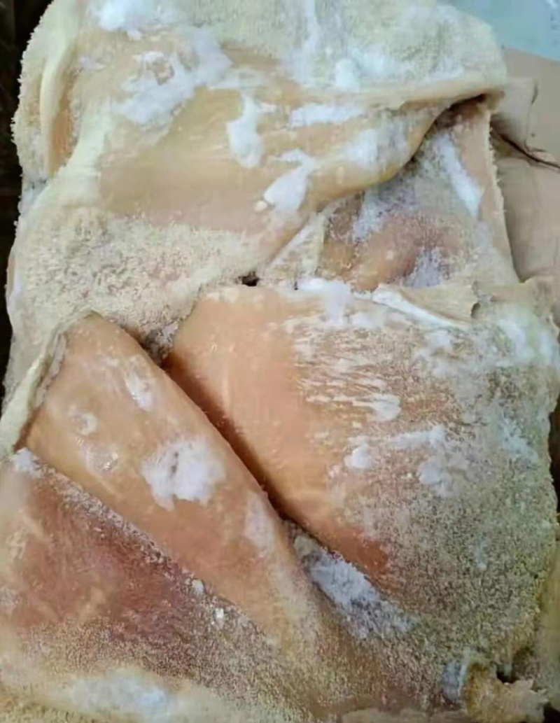 全熟牛肚，现货供应