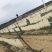 东北正宗手工农家自制粉条土豆粉耐煮味道好