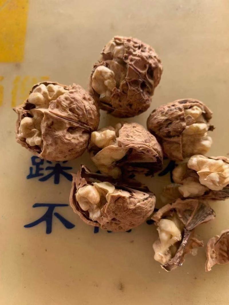 2021新货云南麻子核桃