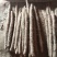 麻山药！大货！软糯甘甜！有条形！粗度！长度
