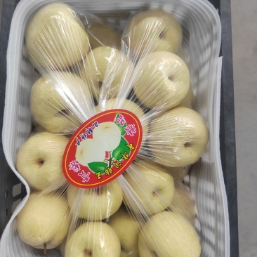 山西省运城市临猗县坡上酥梨，可批发零售，口感脆甜