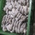 中小叶片质量好，颜色灰黑……………………