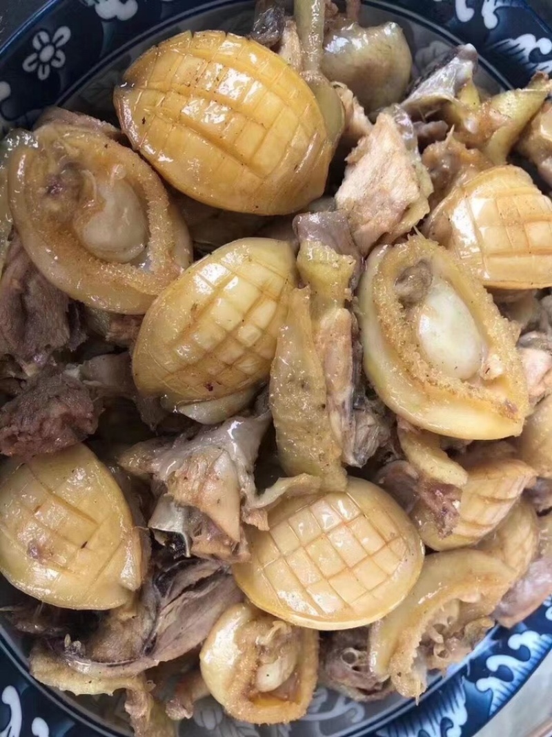 100头大连鲍鱼黄金鲍鱼干鲍