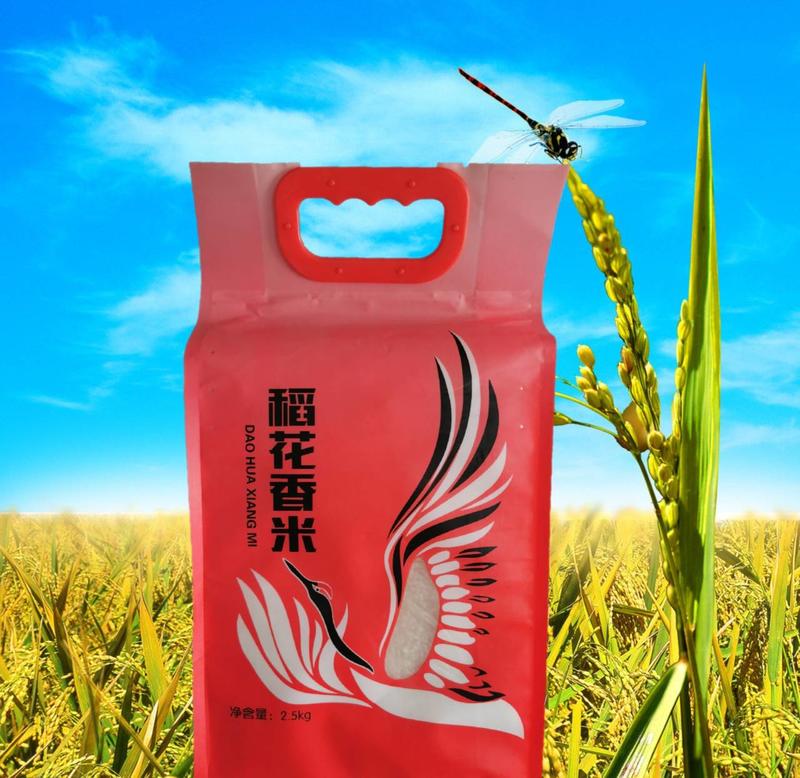 2023年收割五常稻花香新米20斤全国免邮费