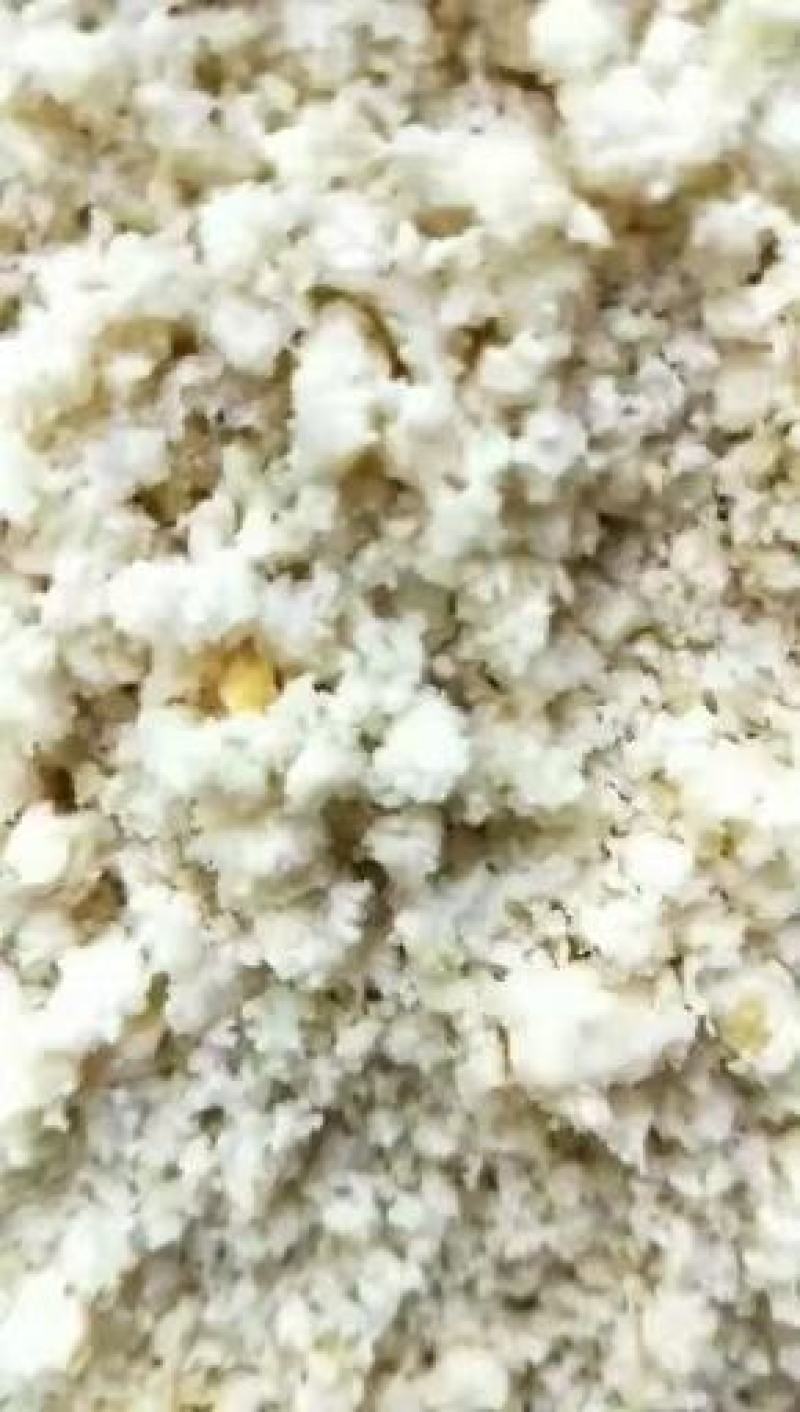 发酵豆渣厂家直销可降低养殖成本适用于鸡鸭鹅猪牛羊水产养殖