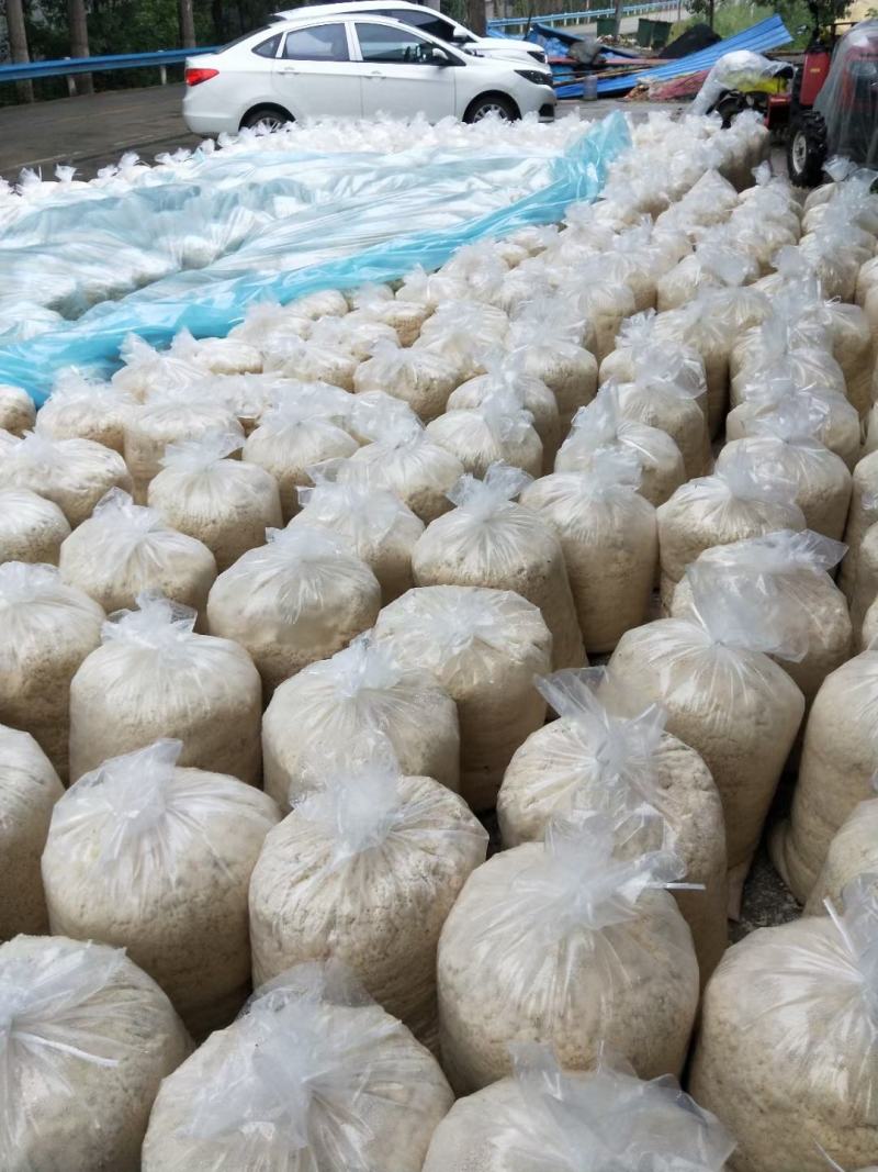 发酵豆渣厂家直销可降低养殖成本适用于鸡鸭鹅猪牛羊水产养殖