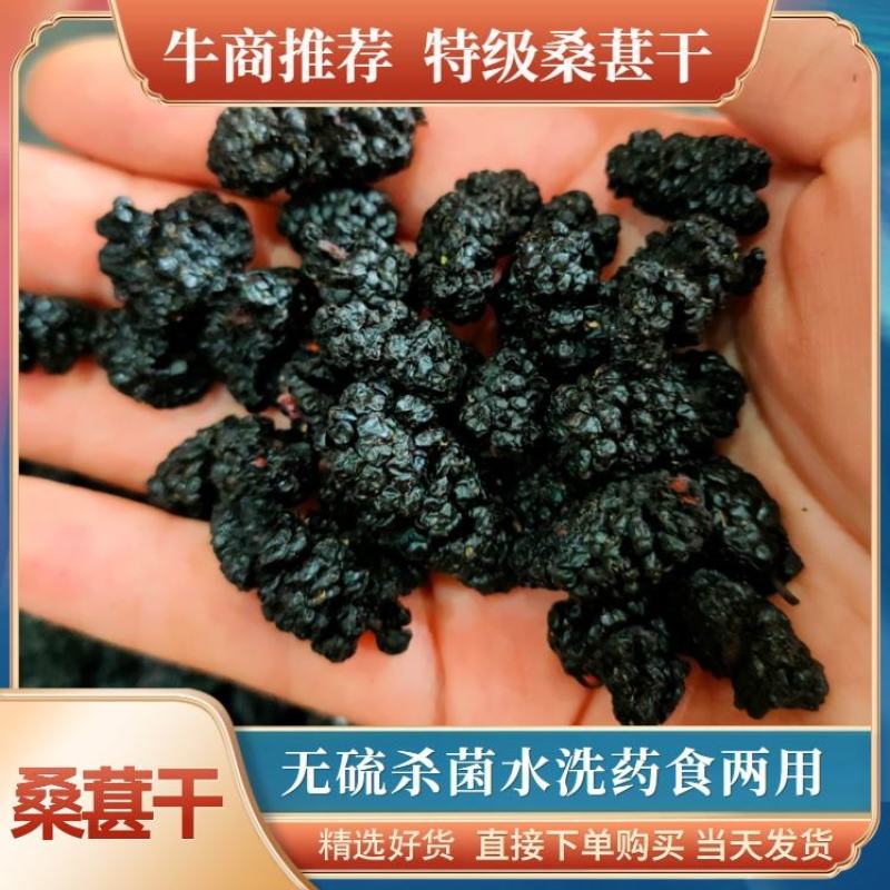 水洗桑葚干包邮无硫杀菌水洗药食两用泡水干吃