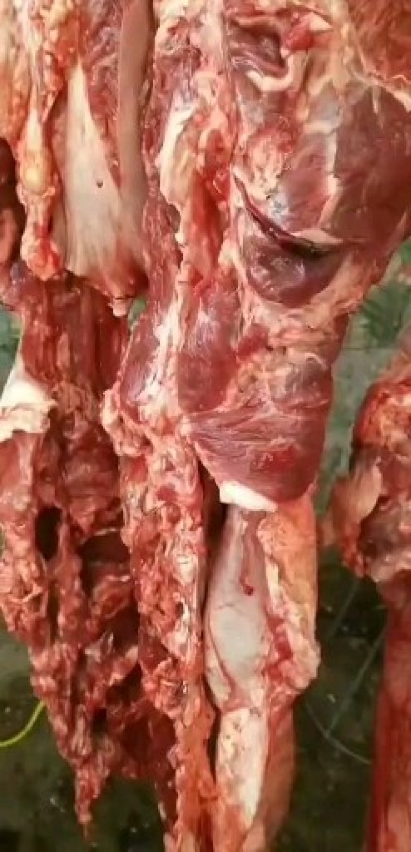 本厂大量生产熟牛肉，物优价廉质量保证，支持样品