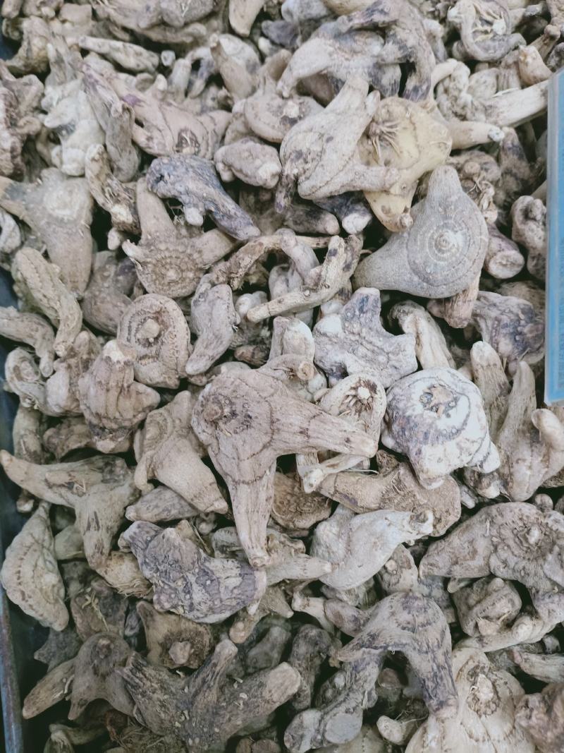 白芨，白及片质量保证，经营各种中药材欢迎咨询合作！