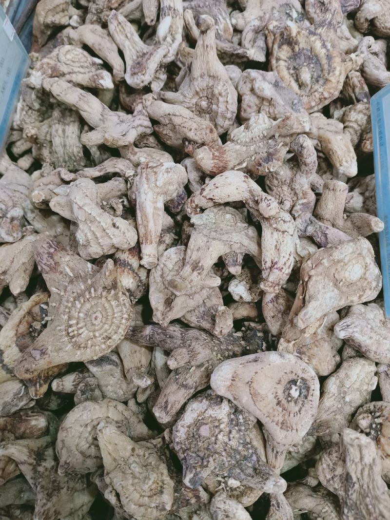 白芨，白及片质量保证，经营各种中药材欢迎咨询合作！