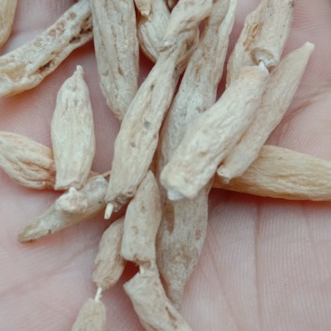 贵州野生麦冬，水洗干货，批发零售，欢迎订购