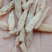 贵州野生麦冬，水洗干货，批发零售，欢迎订购