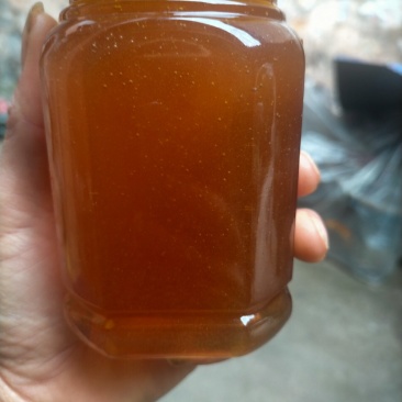 供应天然纯野生蜂蜜