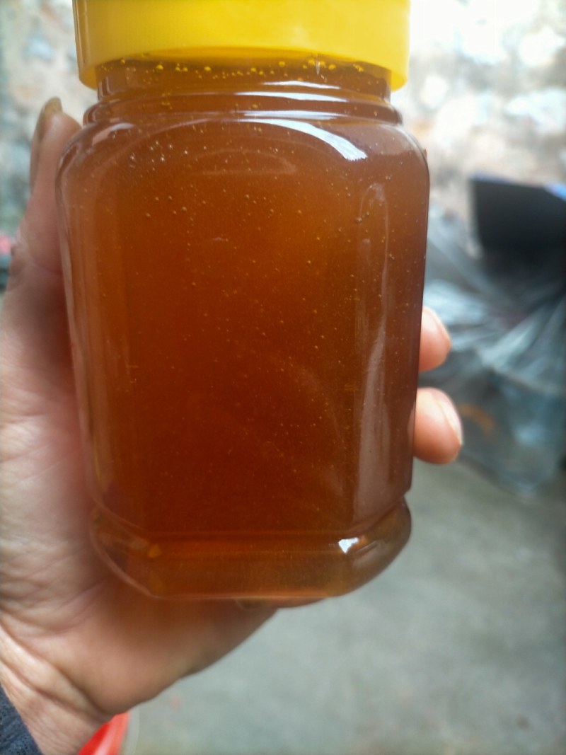 供应天然纯野生蜂蜜