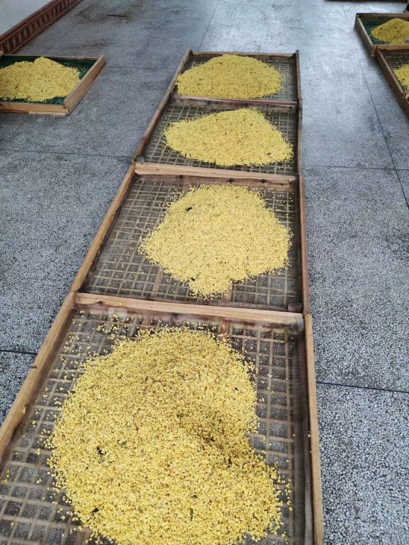 桂花烘干机，桂花烘干房，桂花烘干设备，花蕾烘干机
