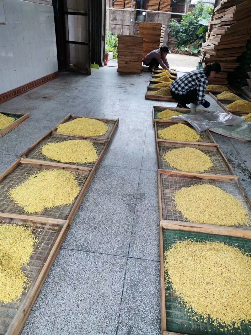 桂花烘干机，桂花烘干房，桂花烘干设备，花蕾烘干机