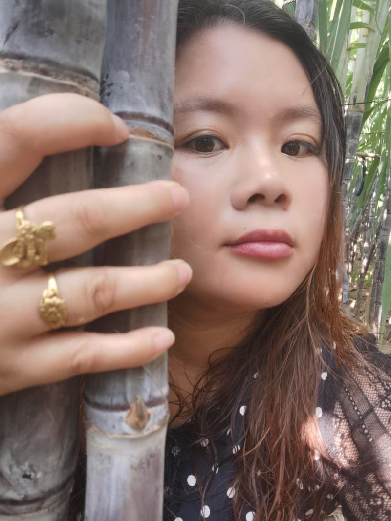 广西甘蔗，黑皮甘蔗，种植基地，对接超市，电商，一级市场货