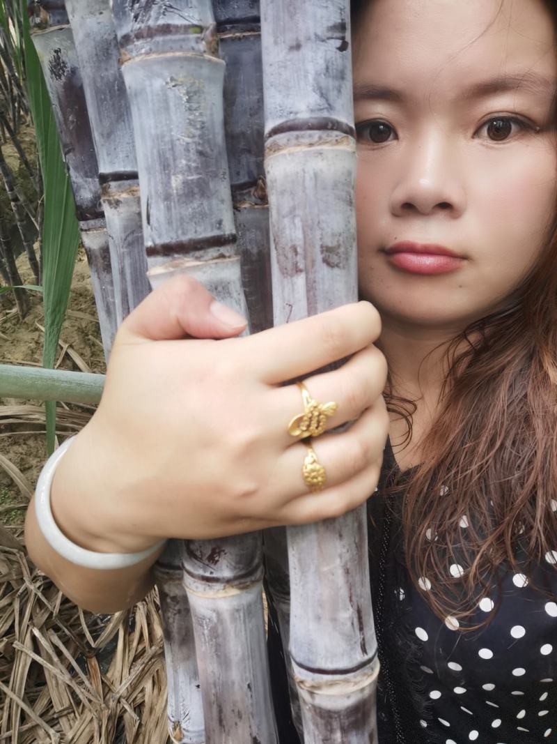 纯正广西黑皮甘蔗供应产地，结巴均匀，口感甜脆，提供回程车