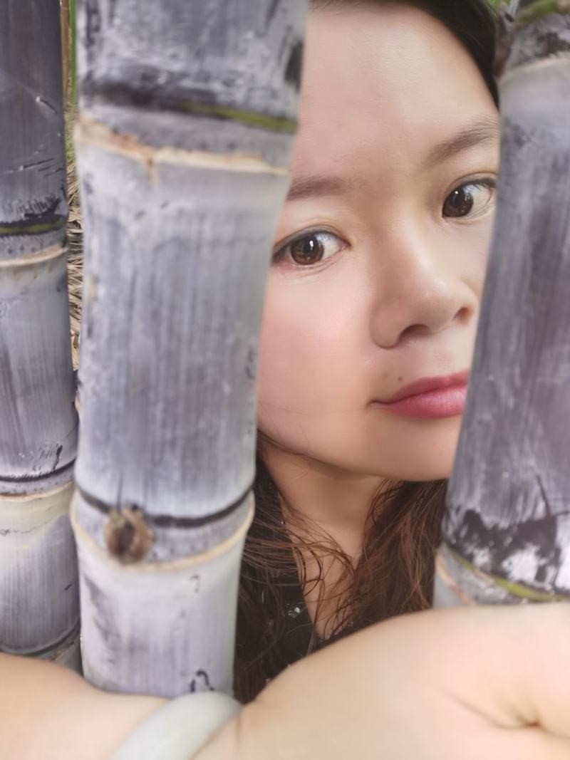 纯正广西黑皮甘蔗供应产地，结巴均匀，口感甜脆，提供回程车