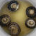 【包邮】随州优质小香菇丁1.3~2.0cm，干净无杂质