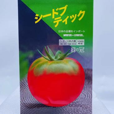 绿肩西红柿种子原装正品口感柿子品种种子