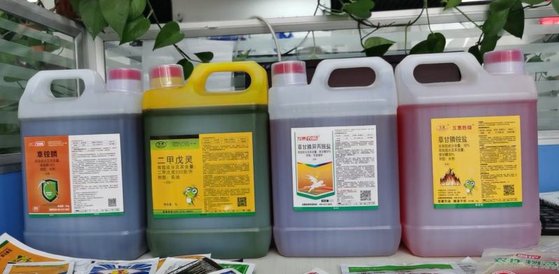 10%草铵膦广谱烂根除草剂见效快不易产生抗性