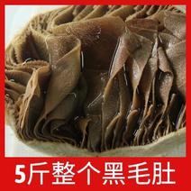 5斤整个黑毛肚带底板商用牛百叶新鲜火锅食材冒菜串串配菜