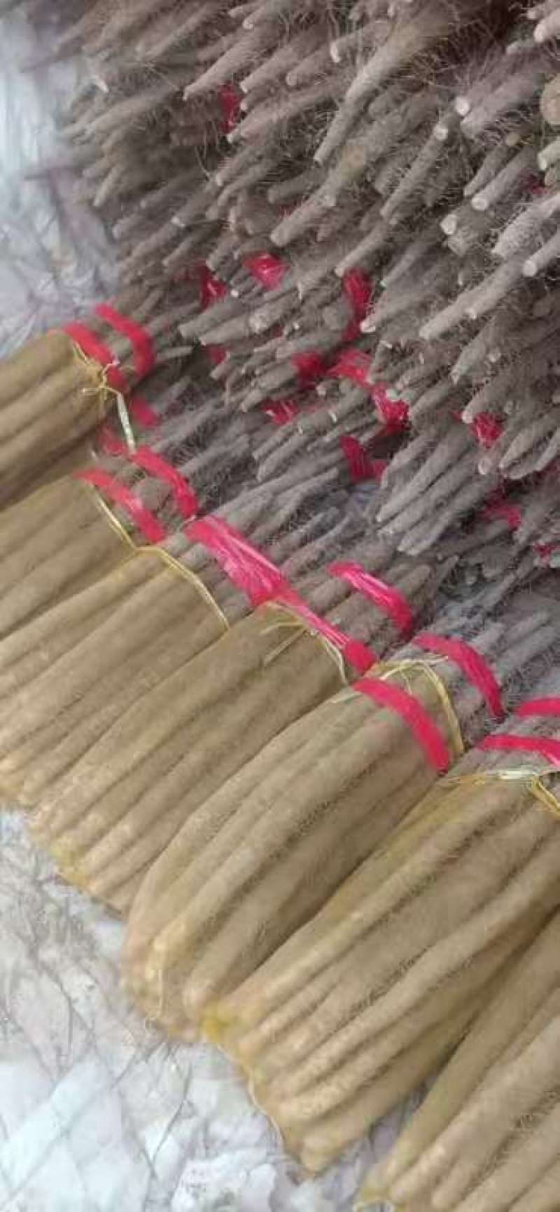假铁棍山药