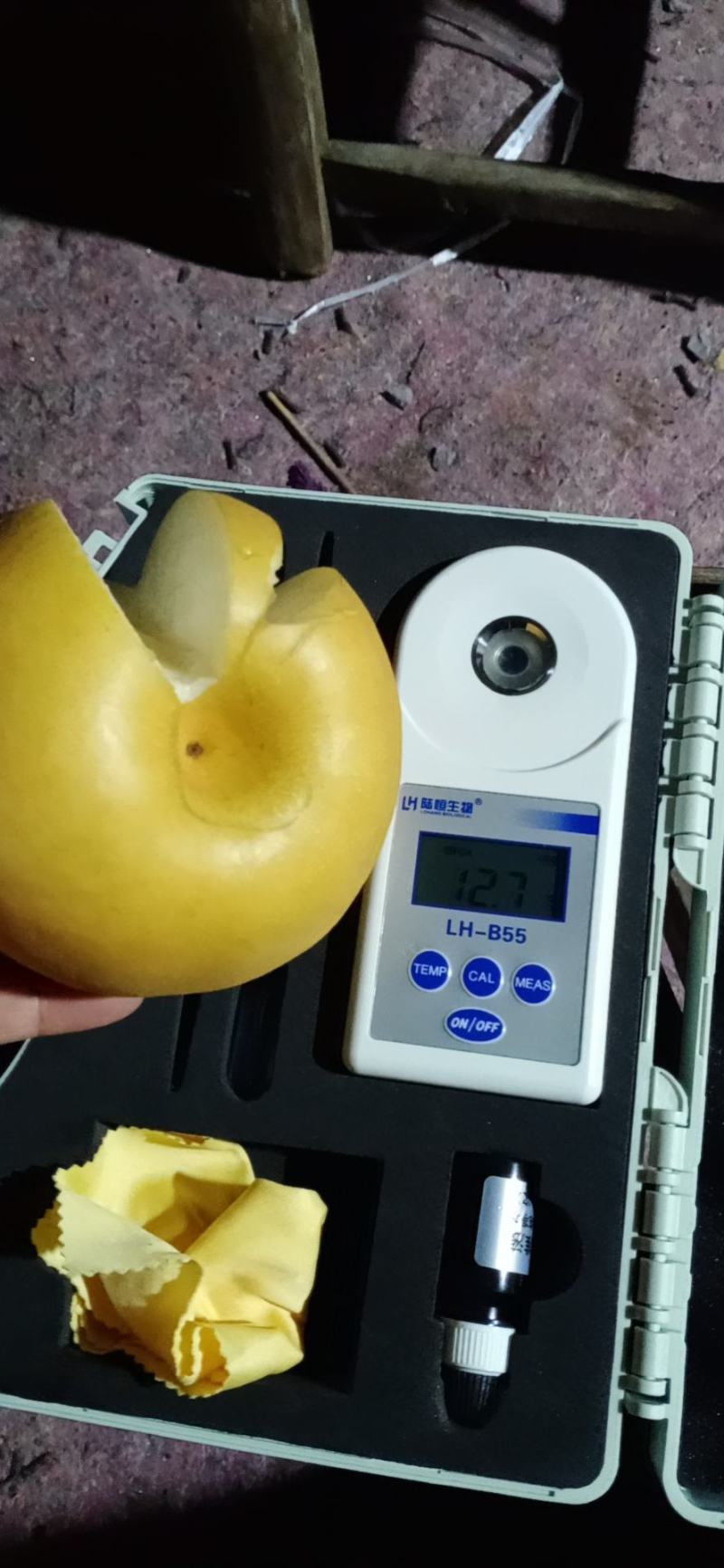 新高梨，产地莱西，莱阳大量现货，欢迎各地老板前来选购
