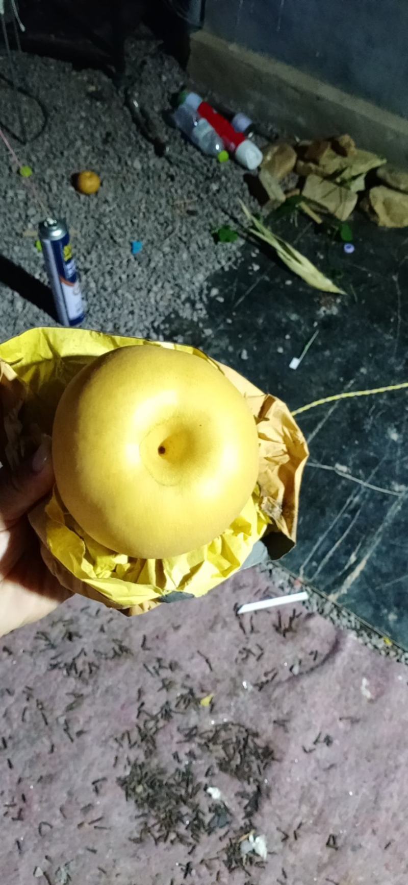 新高梨，产地莱西，莱阳大量现货，欢迎各地老板前来选购