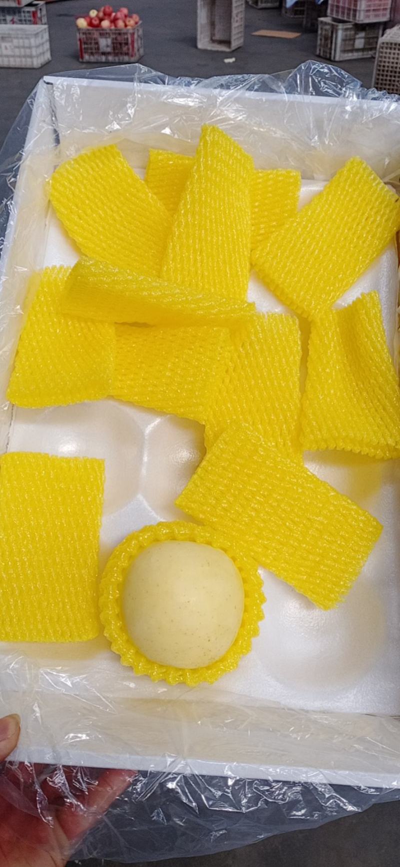 奶油富士产地莱阳，大量有货