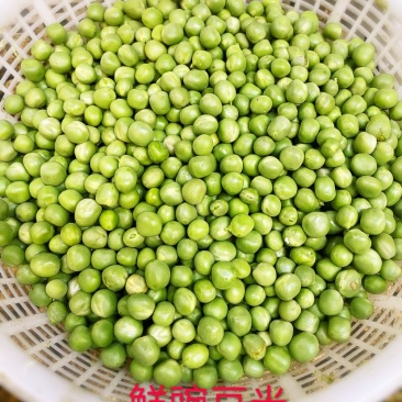 鲜豌豆米北京周边餐饮发货