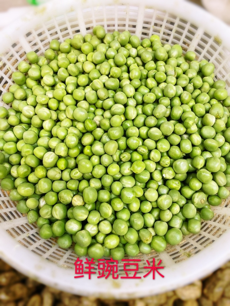 鲜豌豆米北京周边餐饮发货