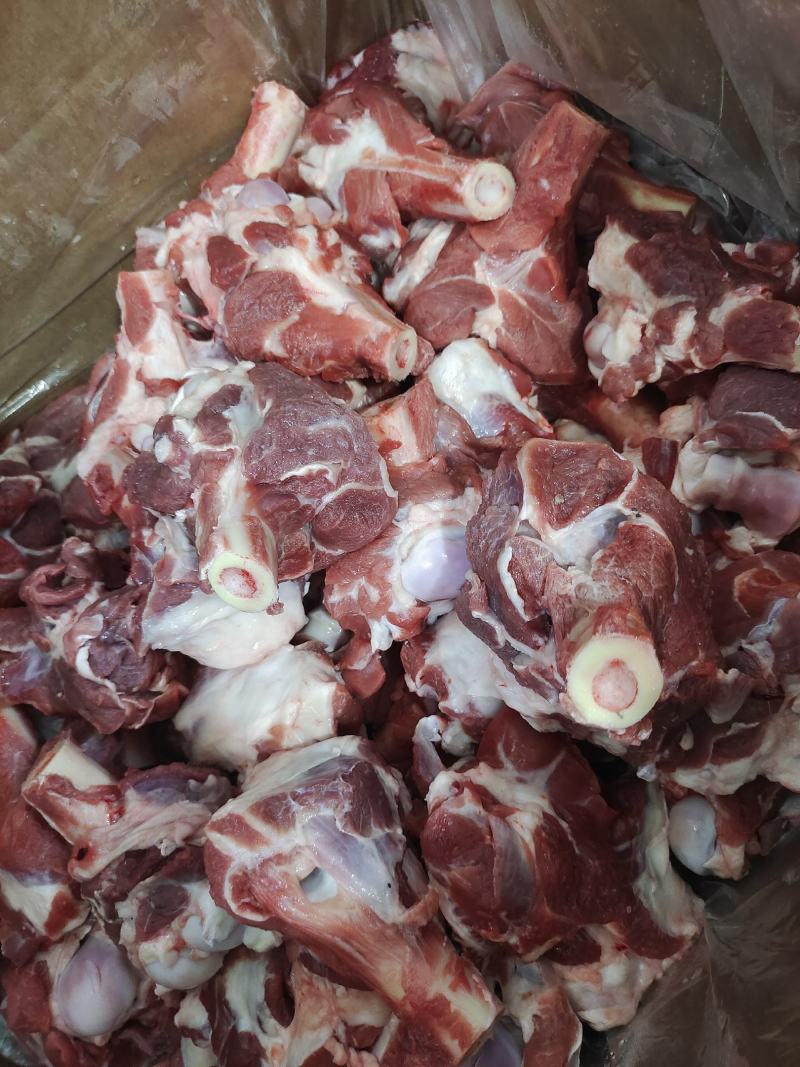 满肉羊棒骨羔羊棒骨肉多满骨髓每天出货