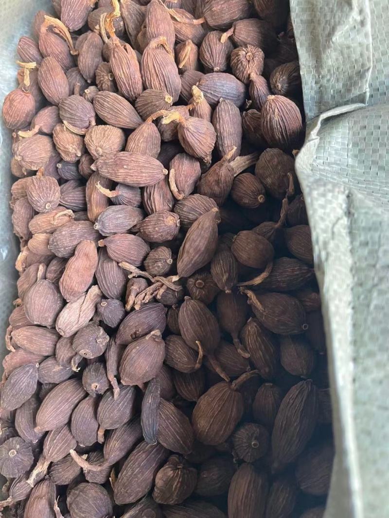 正宗云南草果草果粉卤肉炖肉香料烧烤调料麻辣烫火锅底料