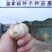 长白山甜百合原产地特色农产品味道甜美营造丰富