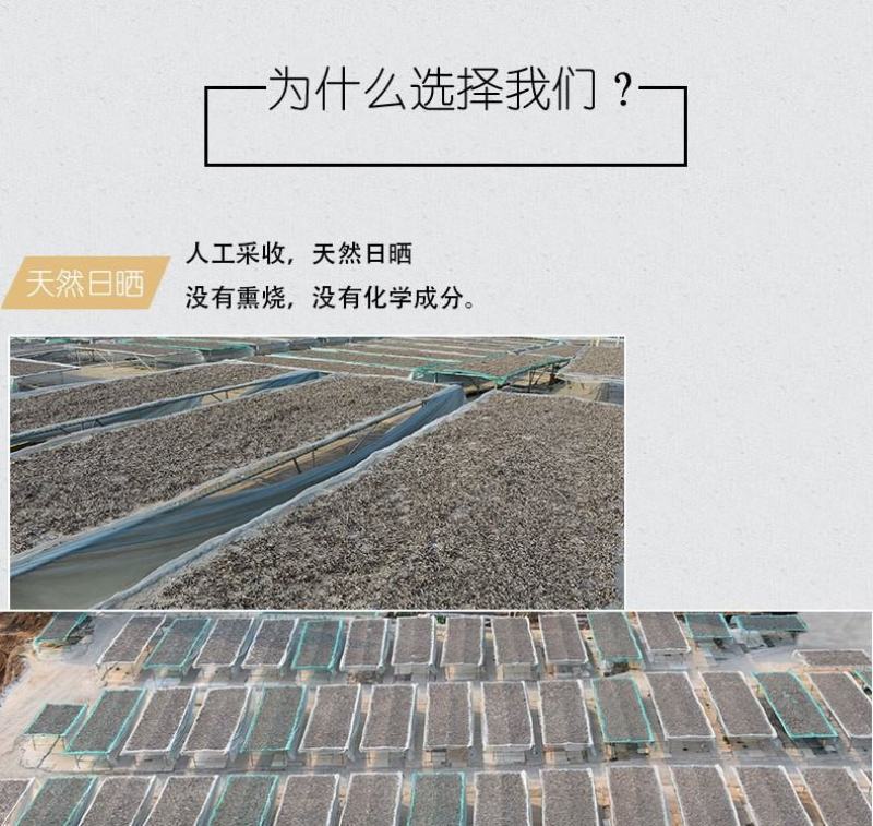 五峰亭特级无根木耳丝批发螺蛳粉专用木耳丝厂家直发