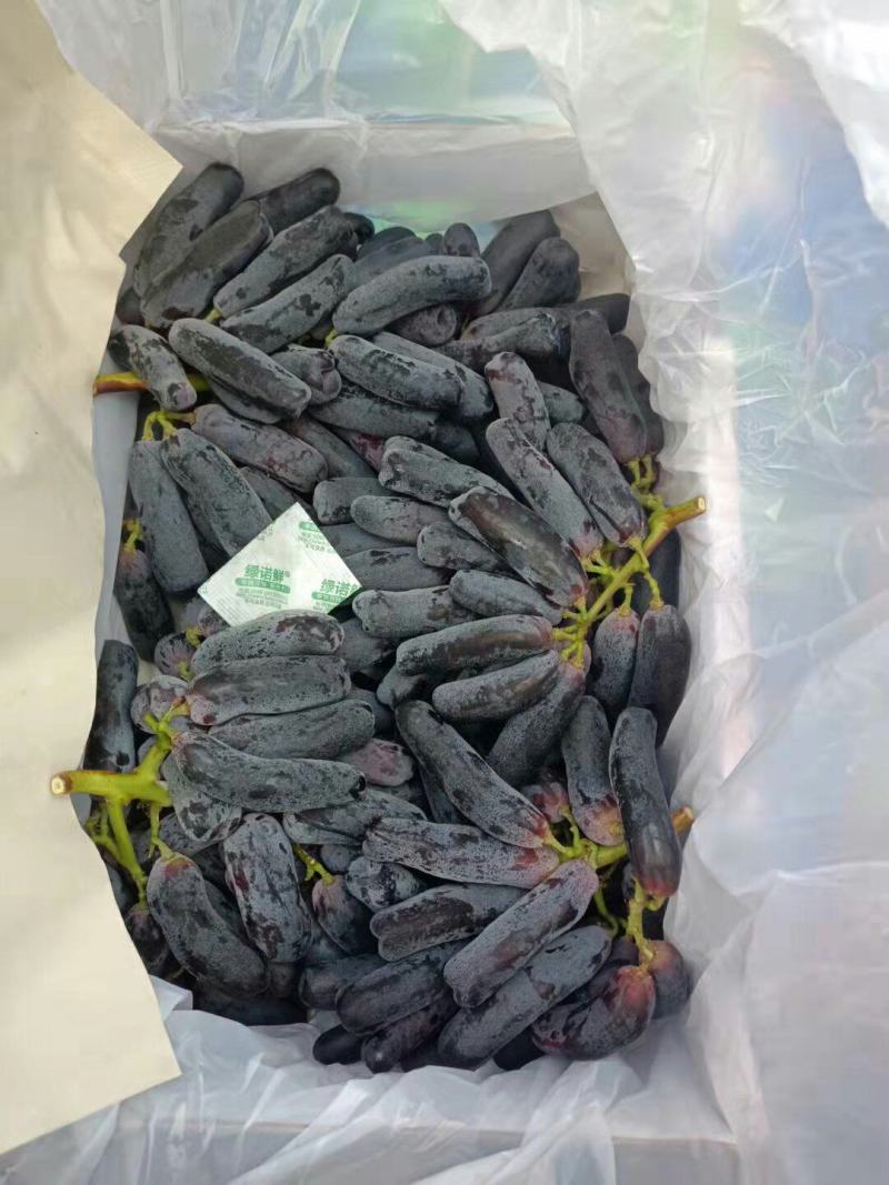 批发【蓝宝石葡萄】蓝宝石葡萄甜度高脆皮可口多汁一手货源