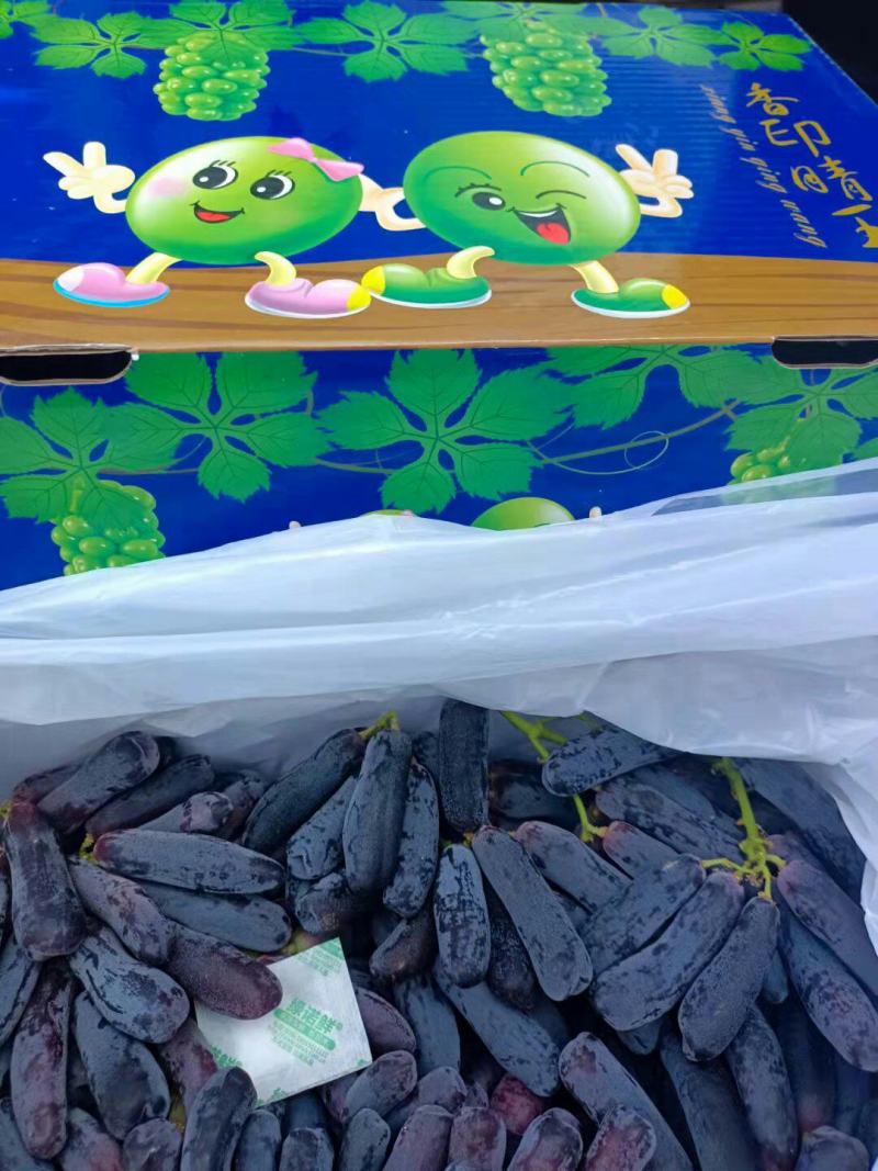 批发【蓝宝石葡萄】蓝宝石葡萄甜度高脆皮可口多汁一手货源