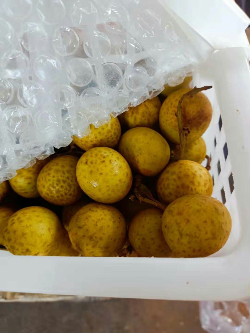 批发【海南石峡龙眼新鲜品】新鲜龙眼多肉多汁甜而不腻