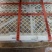 批发【海南石峡龙眼新鲜品】新鲜龙眼多肉多汁甜而不腻