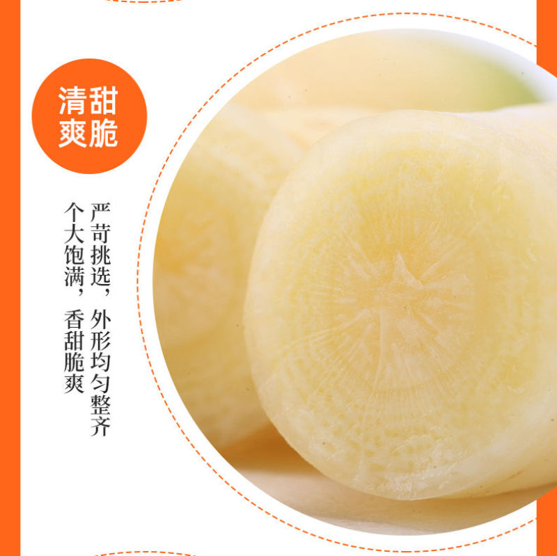 五彩水果胡萝卜，电商一件代发，落地配，3斤5斤