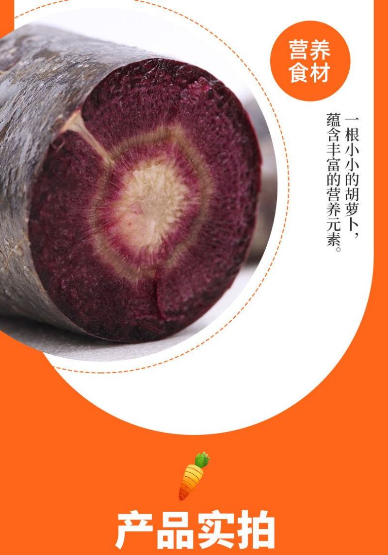 五彩水果胡萝卜，电商一件代发，落地配，3斤5斤