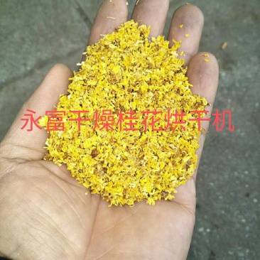 桂花烘干机，桂花烘干房，桂花烘干设备，花蕾烘干机