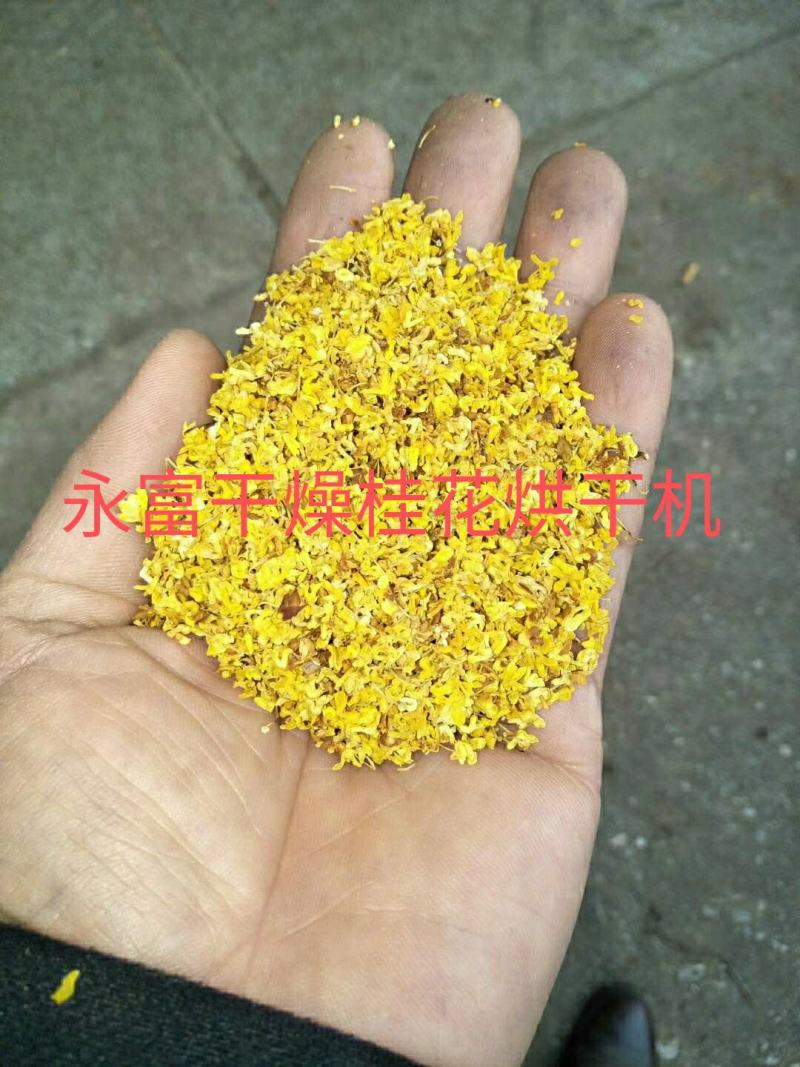 桂花烘干机，桂花烘干房，桂花烘干设备，花蕾烘干机